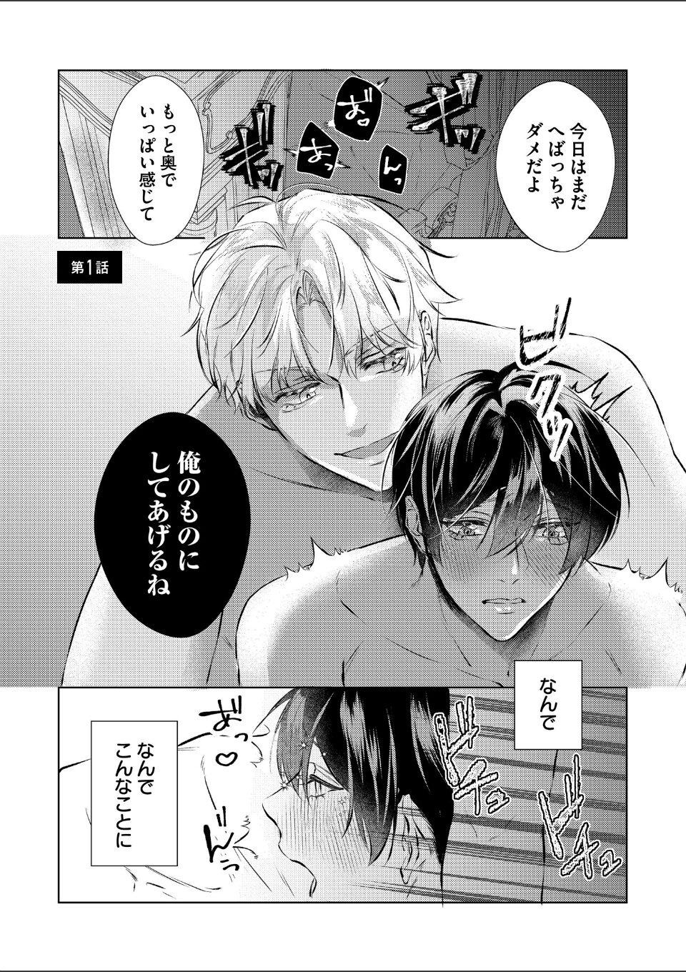 ヤンデレ王子に執着されました【R18電子単行本】 画像1