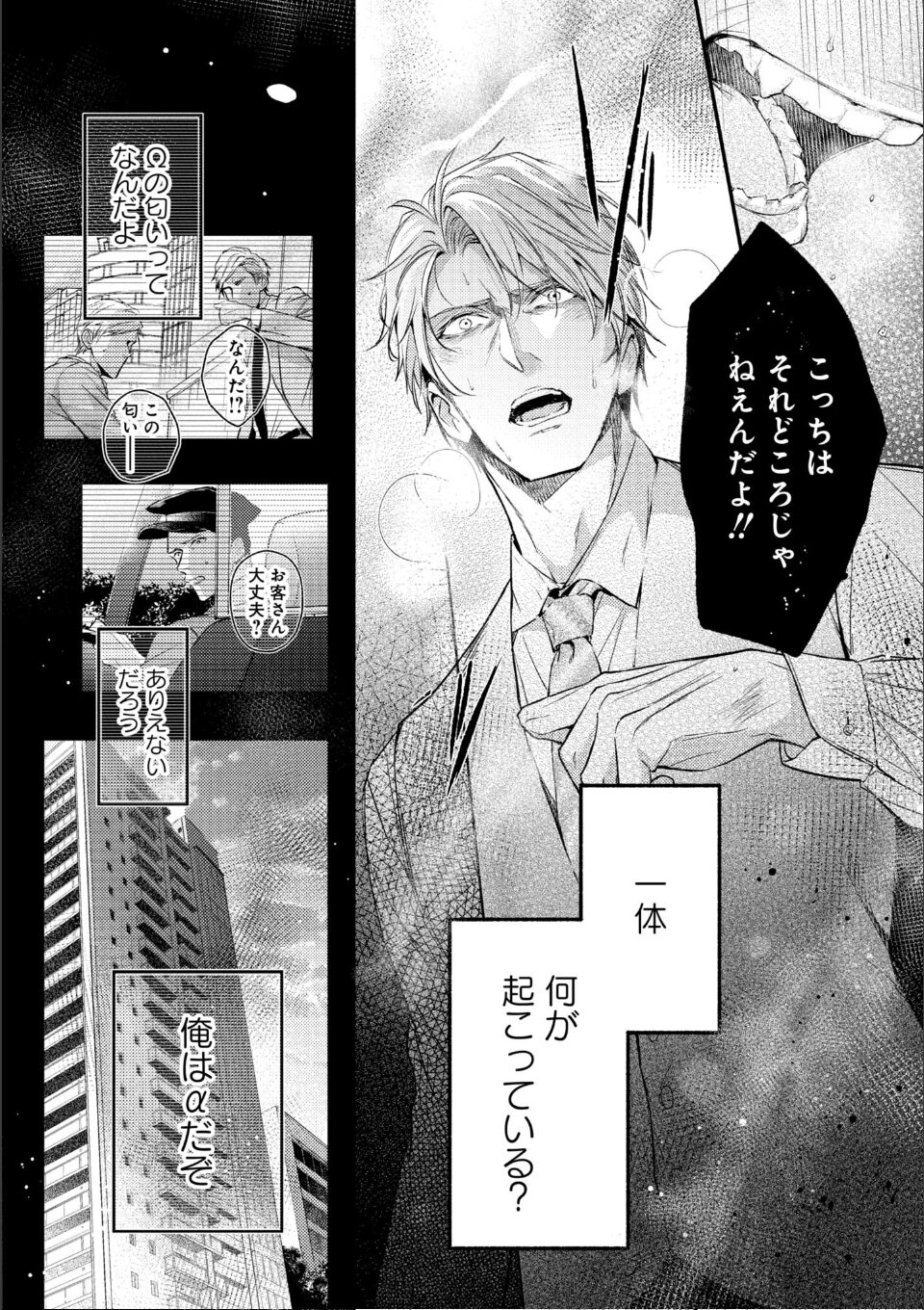 運命すらも呼吸をとめて【電子限定描き下ろし漫画付き】 画像18