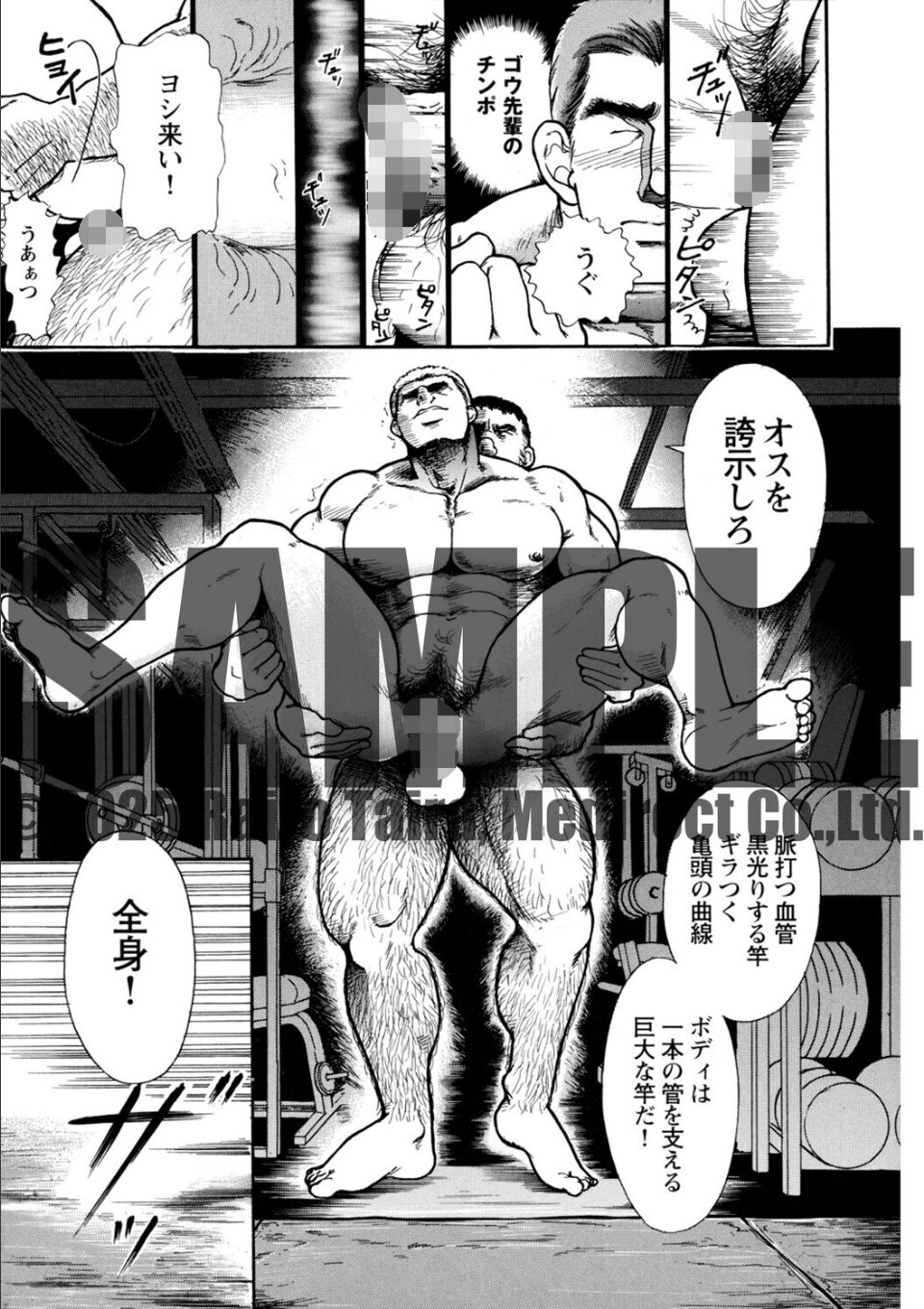 WILD WORLD 【分冊版 PART1】 画像2